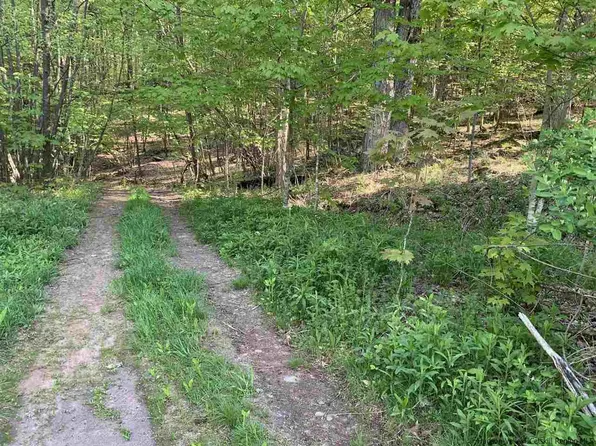 Lot 7 John B Hewitt Spur, Roxbury, NY 12474