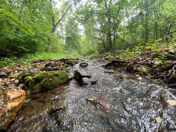 0 Coldwater Creek Rd Tract 2, Fredericktown, MO 63645
