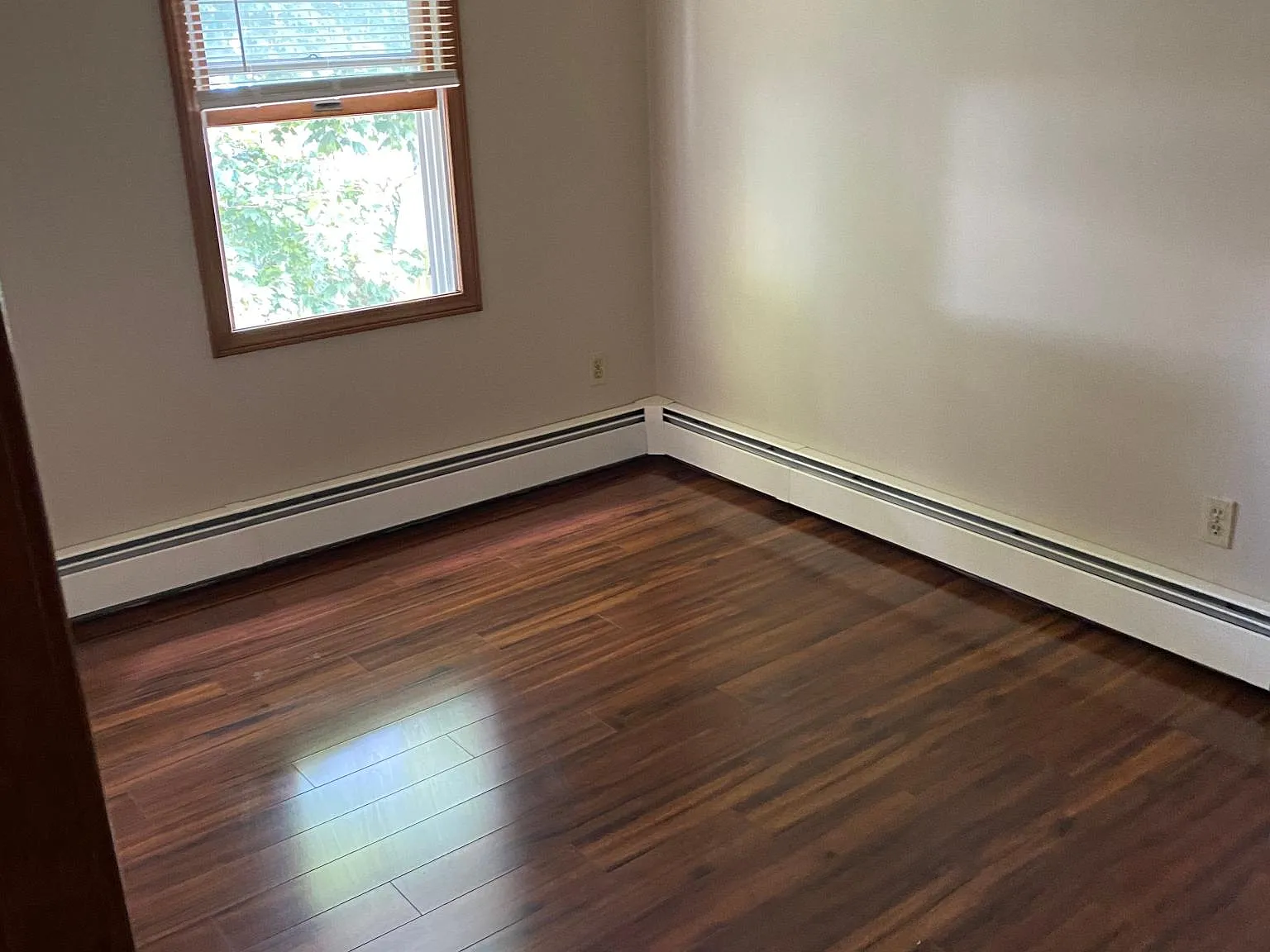 147 Lynch St — Photo 4