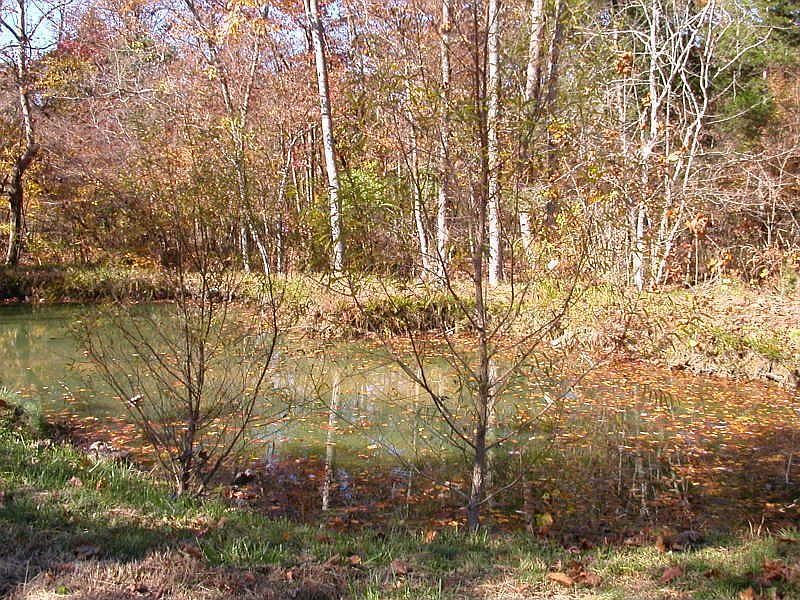 2nd image of 1400 Old Ferry Ln