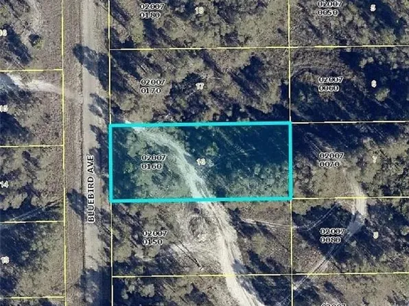 721 Bluebird AVE, LEHIGH ACRES, FL 33974