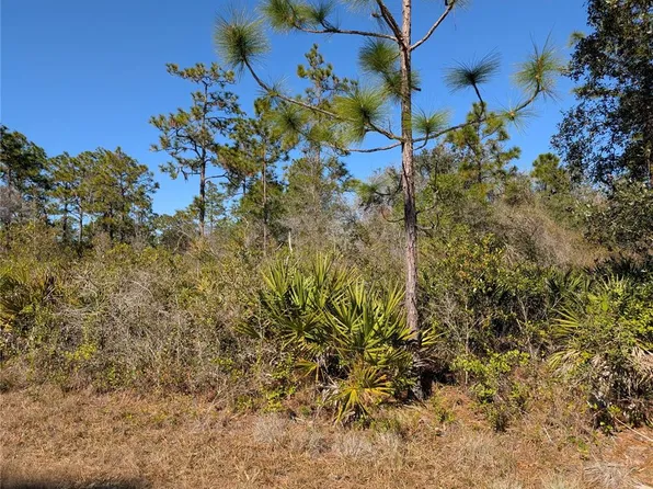 612 Magnolia Dr Lot 6, Indian Lake Estates, FL 33855