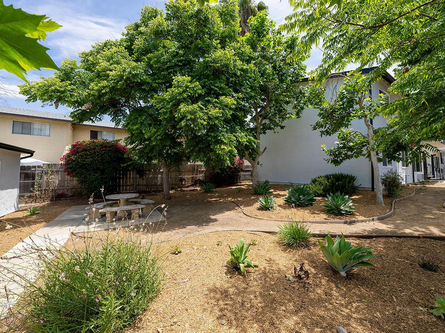 Lone Palm Terrace — Photo 4