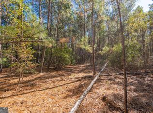 0 Ralph Rahn Rd, Rincon, GA 31326