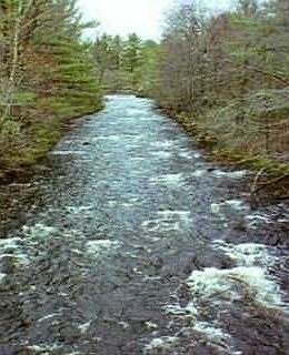 Crooked River Nearby
