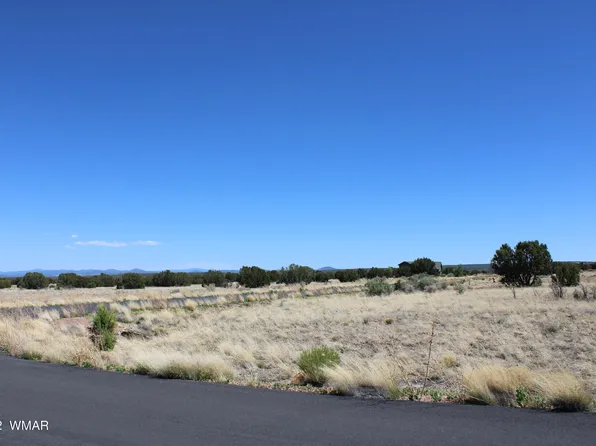 7673 Arroyo Plata Dr, Show Low, AZ 85901