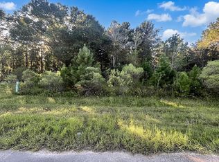 154 Road 5268 Lot 5493, Cleveland, TX 77327