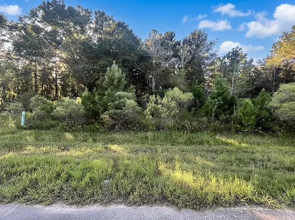 154 Road 5268 Lot 5493, Cleveland, TX 77327
