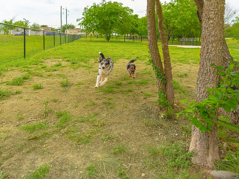 Woodlake Trails — Photo 8