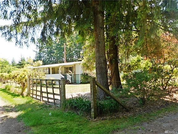 Wait until you see how tall this Wisteria tree is
