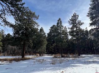 20558 Highway 140, Hesperus, CO 81326