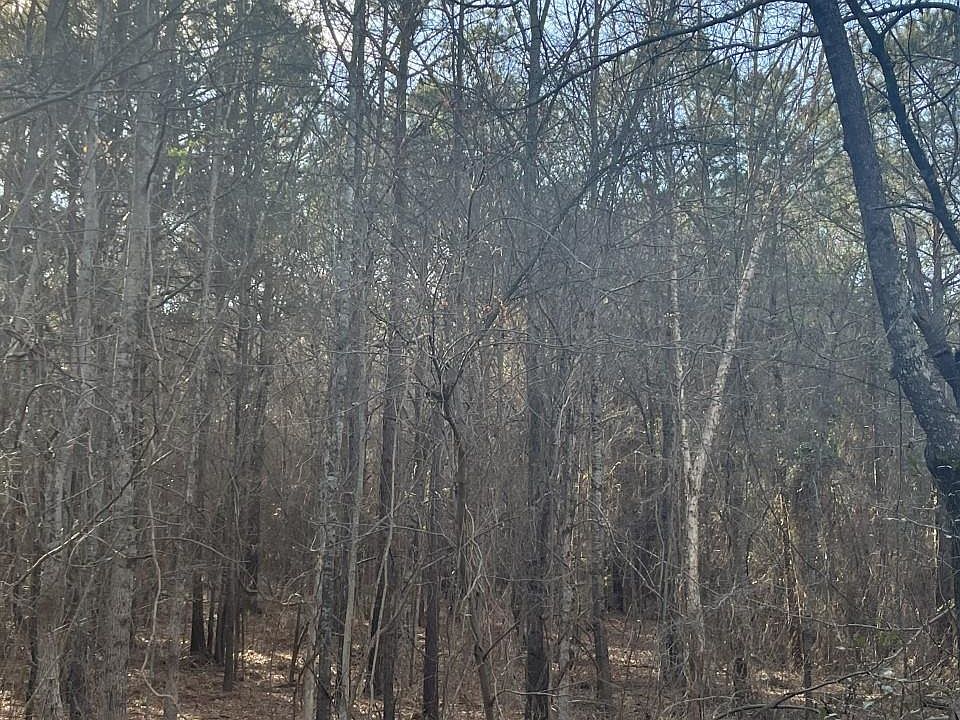 2nd image of 0 County Road 4152