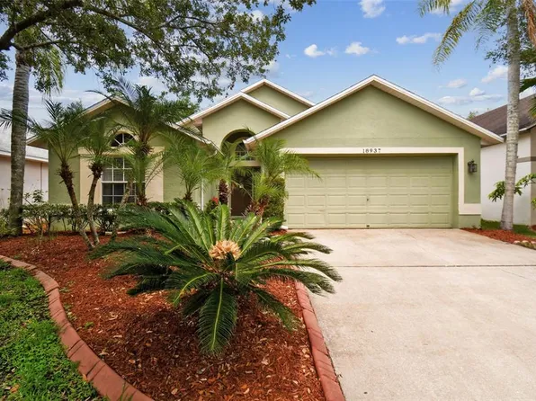 18937 Twinberry Dr, Tampa, FL 33647