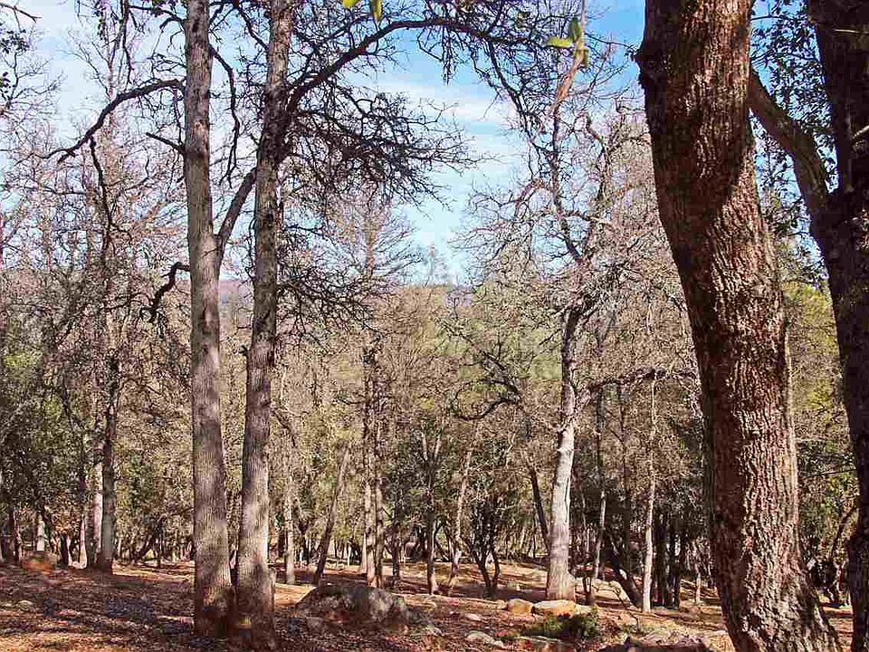 1st image of LOT 89 Christopher Cir