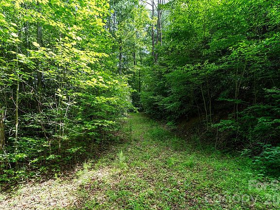 5th image of 99999 Guntertown Rd