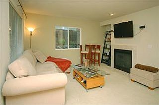 Spacious living room, fireplace, lots of natural light