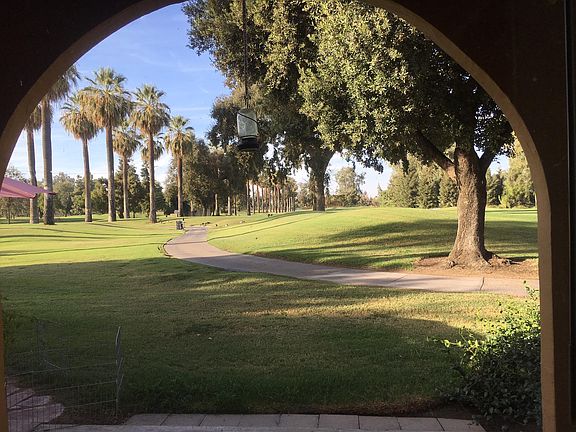 Your view fron your back patio