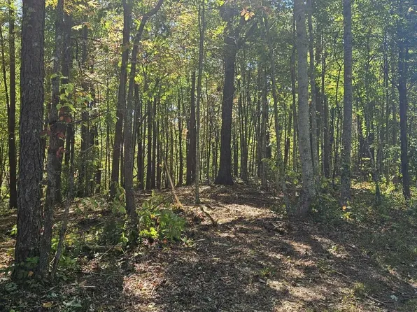 208 Old Furnace Rd, Tellico Plains, TN 37385