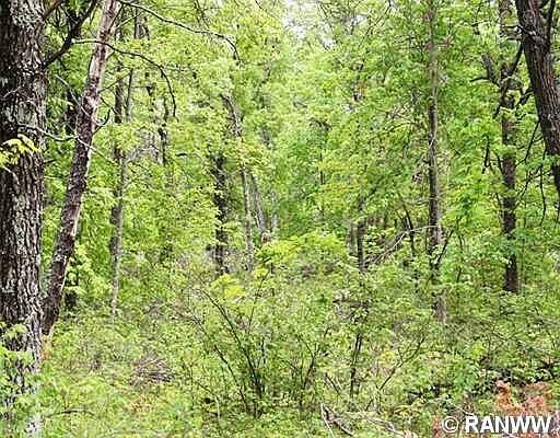 1st image of E Lot Spring Brook Trail
