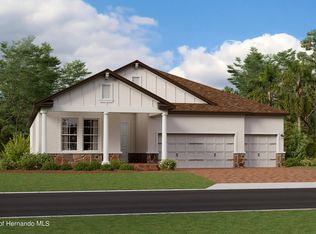 16936 Falling Waters Ct, Land O Lakes, FL 34638