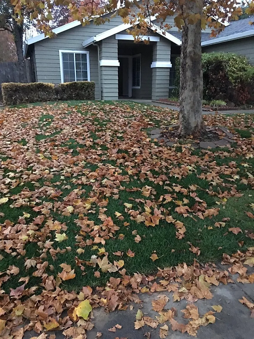 9139 Torino Way photo 1