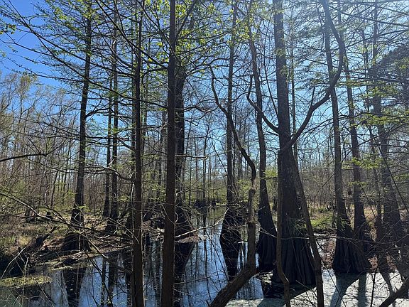 5th image of County Road 3930