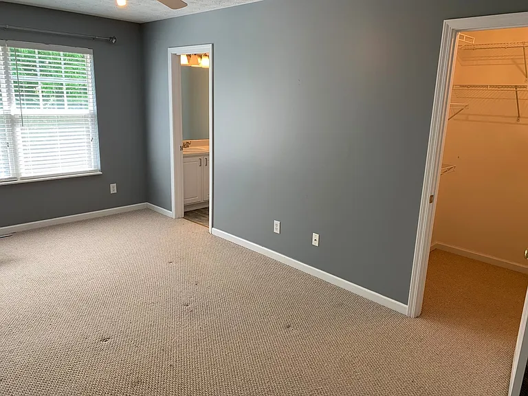 3115 Harpeth Springs Dr — Photo 10