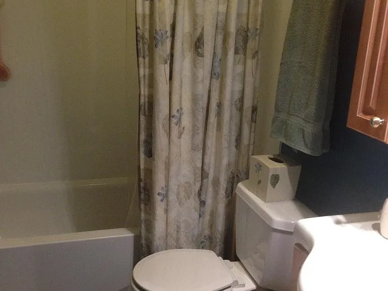 Hall bathroom