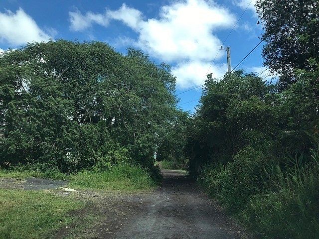 1st image of Paradise Dr Lot 16