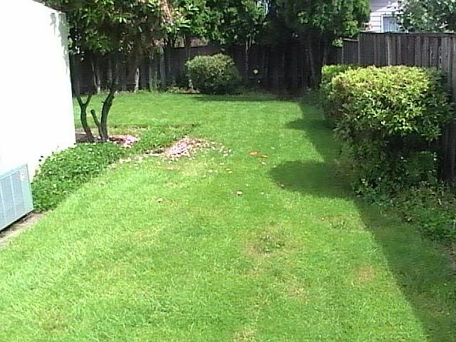 2nd image of 5224 Chapman St S