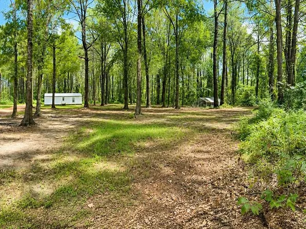 25 Virgil Lewis Rd E, Carriere, MS 39426