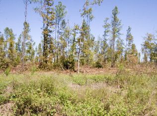 23 Pollett Rd TRACT 23, Bartow, GA 30413