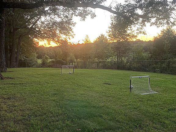 Backyard Sunset