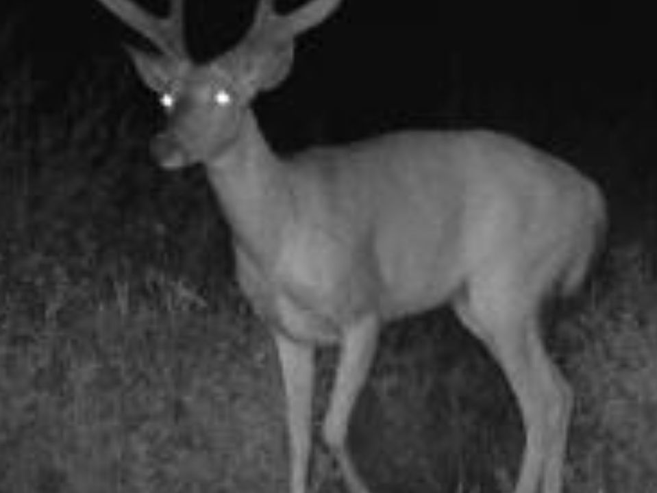 1st image of 2759 State Hwy