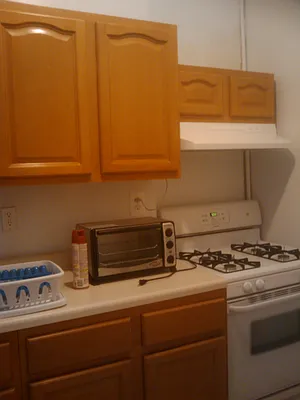 Rented by RC Realty Group of New York Inc | media 44