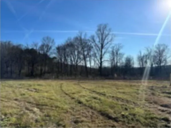 0 Greenwood Rd, Ringgold, GA 30736