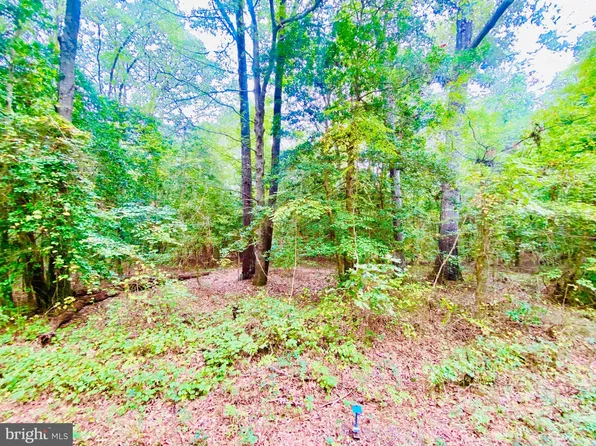 63 E Senora Rd, Lancaster, VA 22503