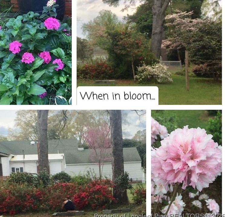 41st image of this home