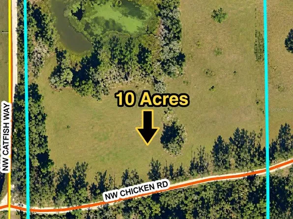NW CHICKEN ROAD, MADISON, FL 32340