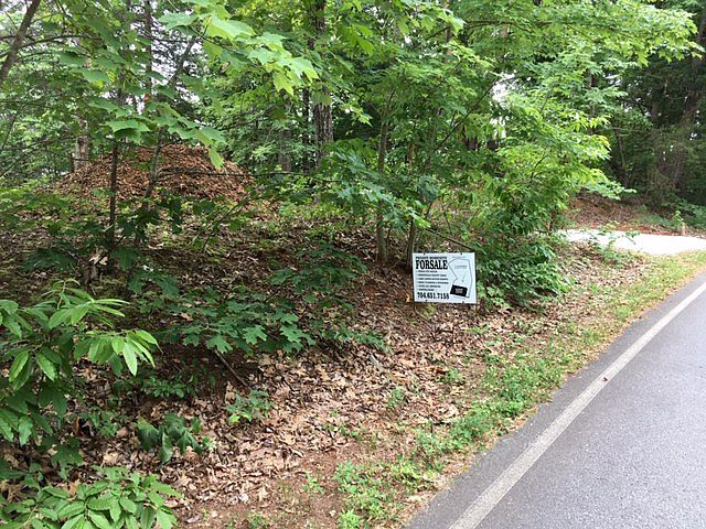 Vegetation buffer along road