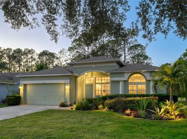 12911 Royal George Ave, Odessa, FL 33556