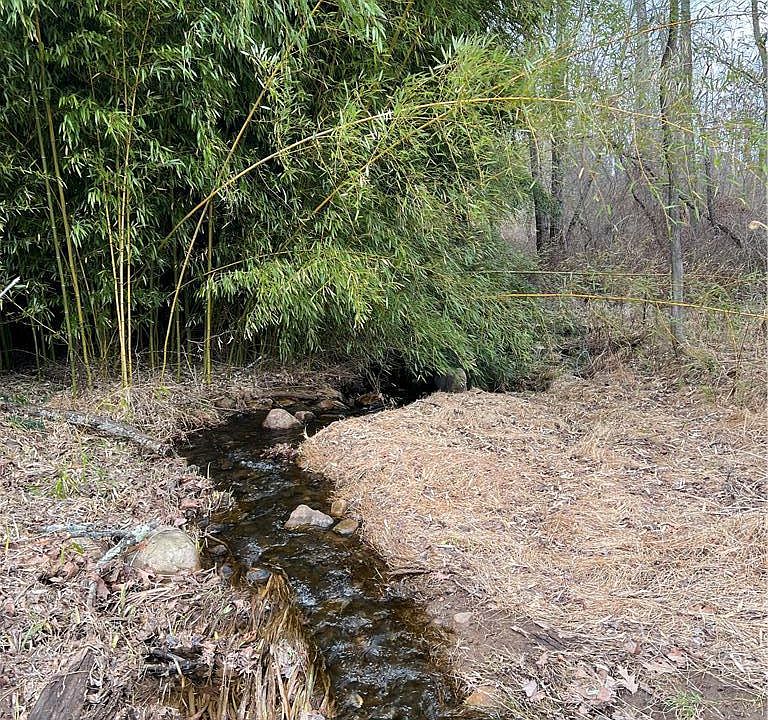 1st image of 1598 Hafler Rd