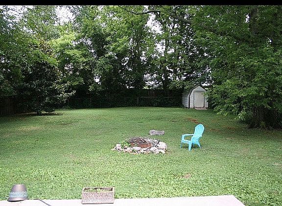 Fenced back yard & fireplace
