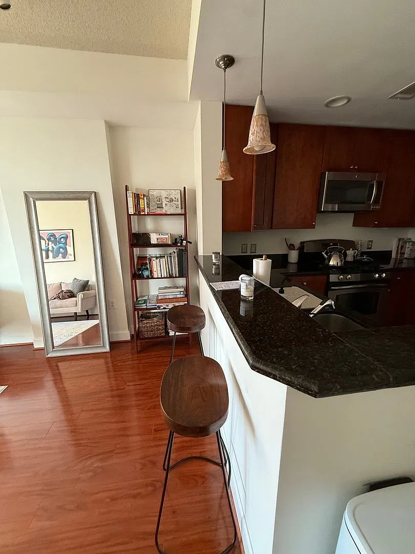 Charming 1BR Condo in Arlington — Photo 4