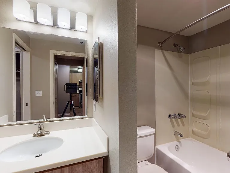 Apartment bathroom with wood-style flooring.