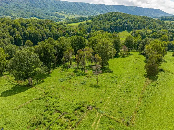 Ferguson Ln, Lebanon, VA 24266