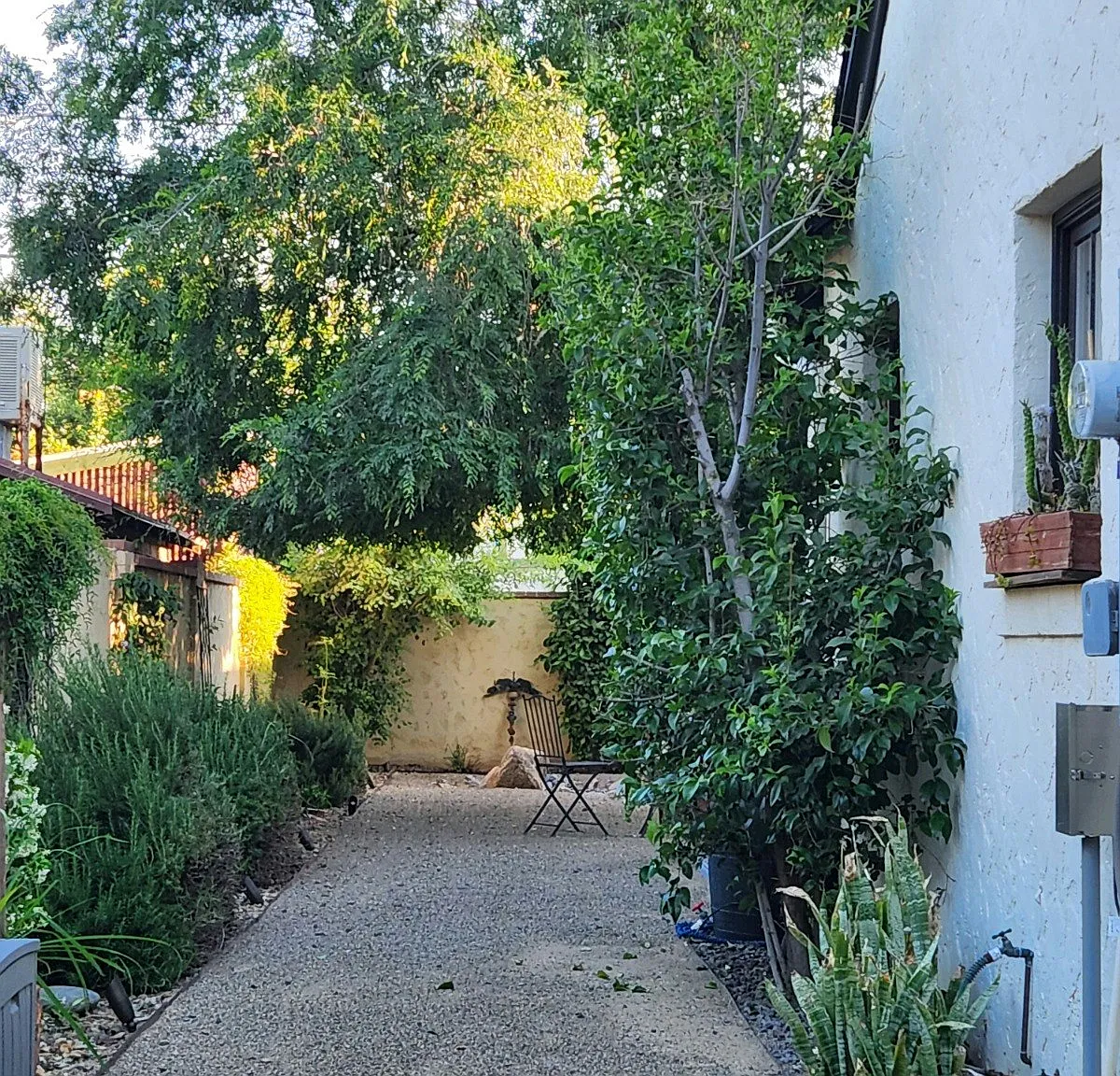 521 W Cypress St — Photo 3