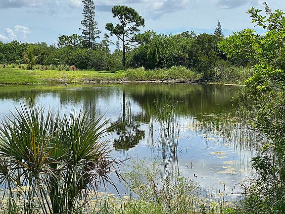 View of pond