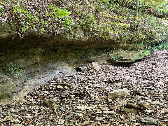 5th image of 0 Goose Creek Rd