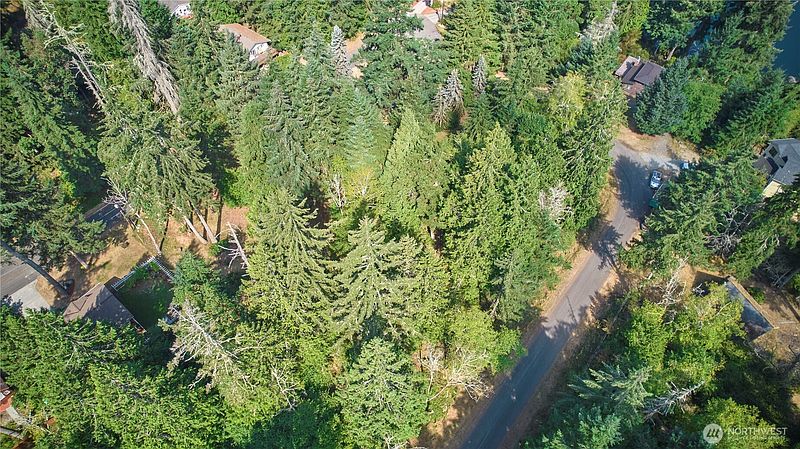 4th image of 10114 Selma Circle